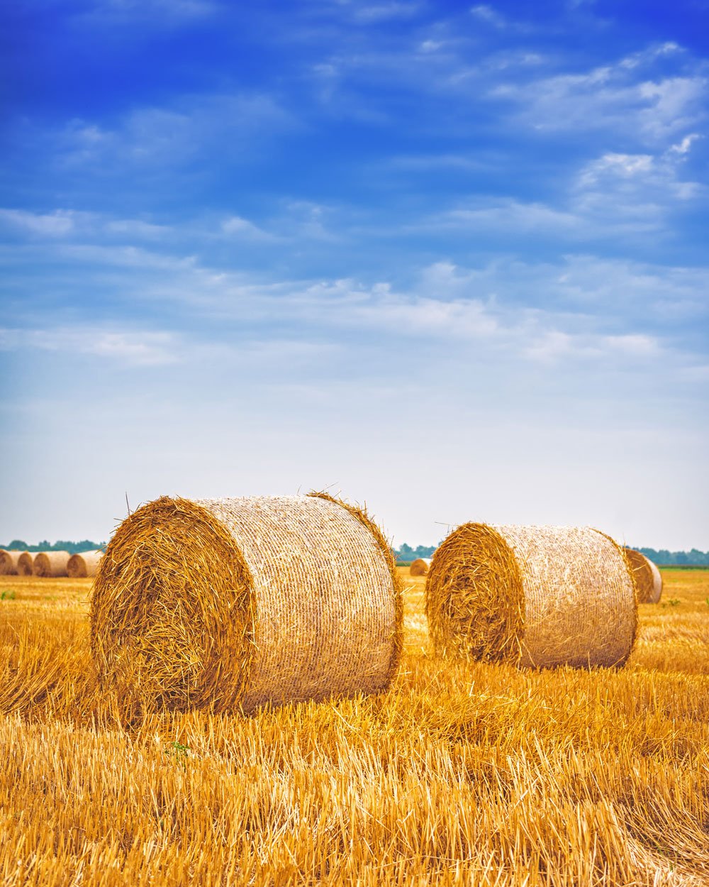 two hay bales in the country