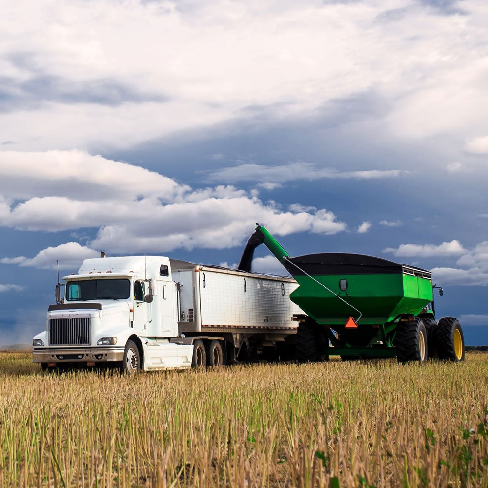 Grain cart and truck in field