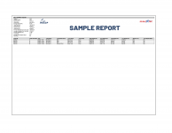 REAP Sample Report Field Summary